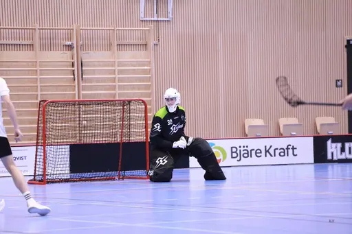 Foto: Kenneth Fridström.