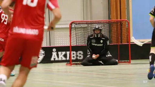 Foto: Kenneth Fridström.