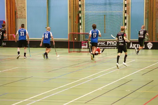 Foto: Kenneth Fridström