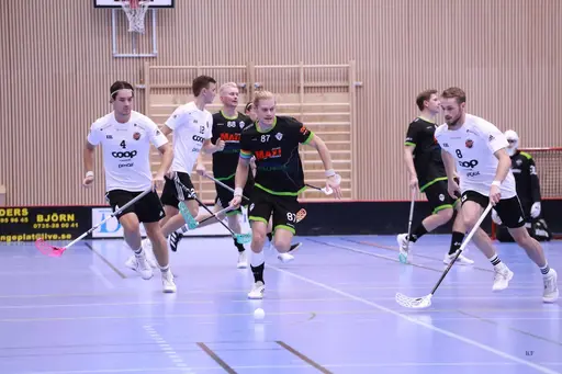 Foto: Kenneth Fridström.