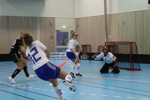 Foto: Ann Farken Ericsson