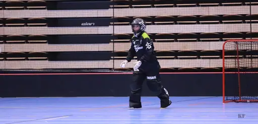 Foto: Kenneth Fridström.