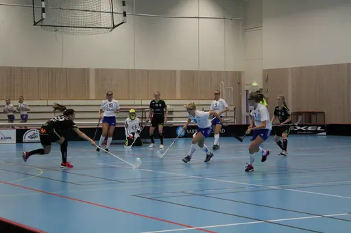 Foto: Ann Farken Ericsson