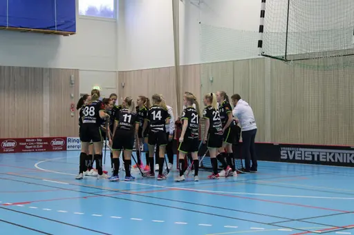 Foto: Ann Farken Ericsson
