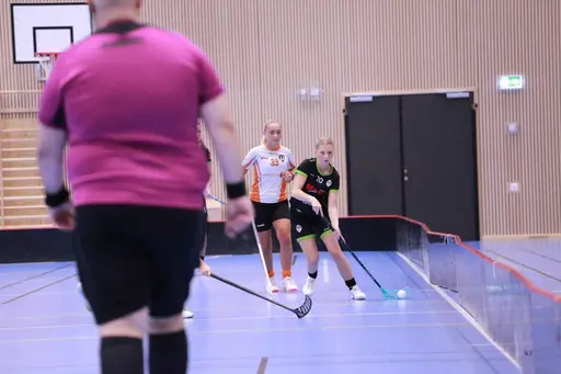 Foto: Kenneth Fridström.