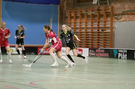 Foto: Kenneth Fridström.