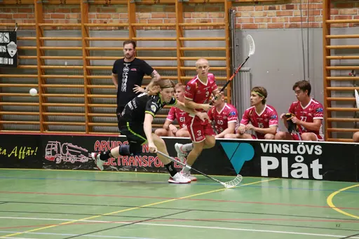 Foto: Kenneth Fridström