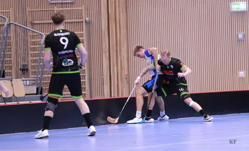 Foto: Kenneth Fridström.