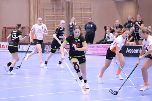 Foto: Kenneth Fridström.