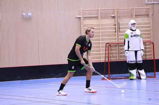 Foto: Kenneth Fridström