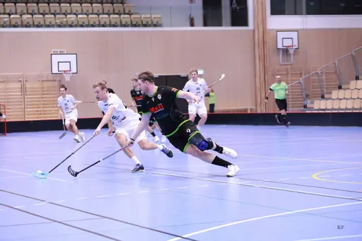 Foto: Kenneth Fridström.