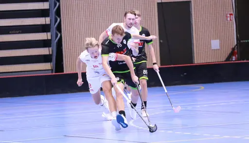 Foto: Kenneth Fridström