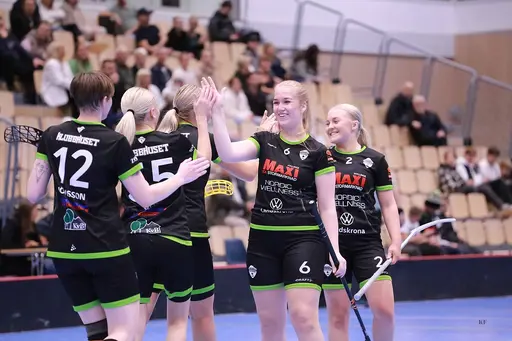 Spelarbilder från olika nivåer och lag, från Innebandyskolan upp till senior