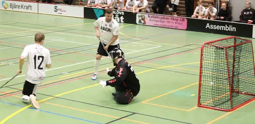 Foto: Kenneth Fridström.