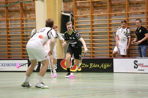 Foto: Kenneth Fridström.