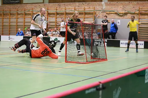 Foto: Kenneth Fridström