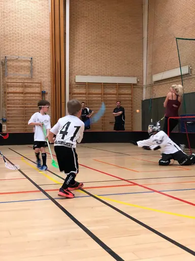 Foto: Johan Sävström