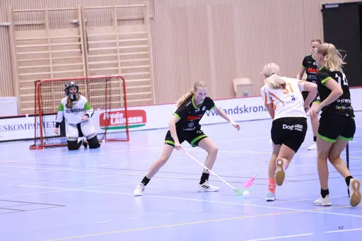 Foto: Kenneth Fridström.