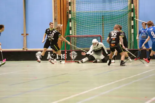 Foto: Kenneth Fridström