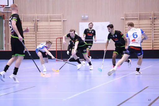 Foto: Kenneth Fridström.