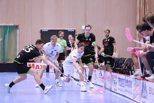 Foto: Kenneth Fridström.
