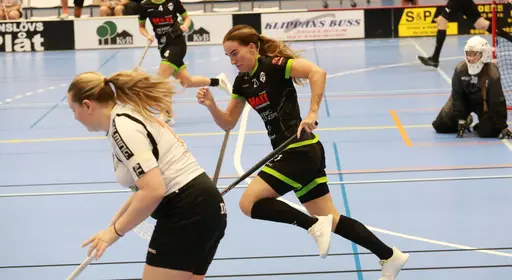Foto Kenneth Fridström.