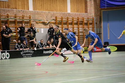 Foto: Kenneth Fridström