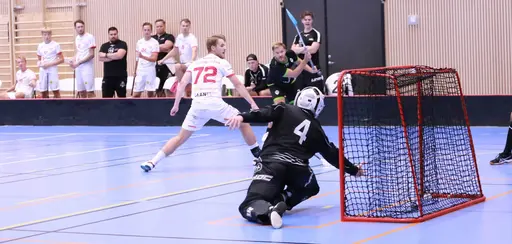 Foto: Kenneth Fridström