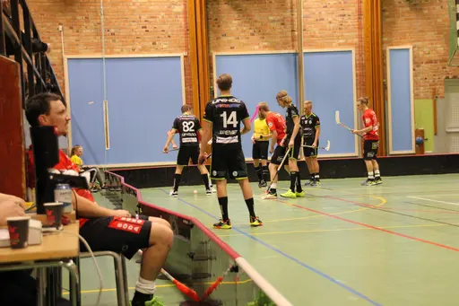Foto: Kenneth Fridström