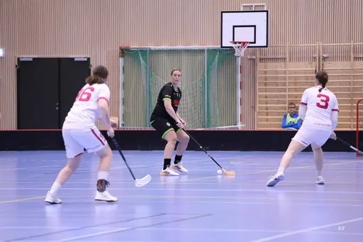 Foto Kenneth Fridström.