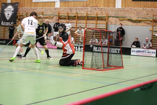 Foto: Kenneth Fridström