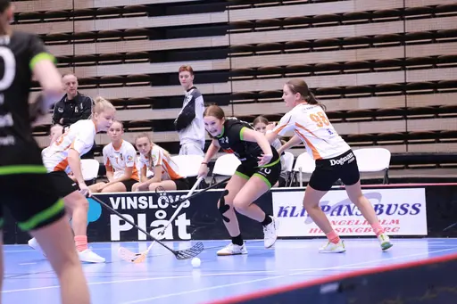 Foto: Kenneth Fridström.