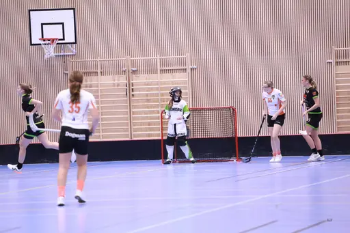 Foto: Kenneth Fridström.