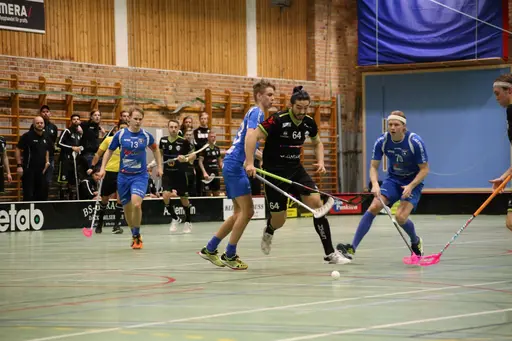Foto: Kenneth Fridström