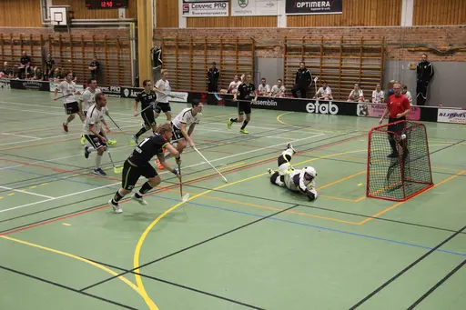 Foto: Kenneth Fridström