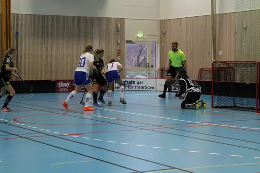 Foto: Ann Farken Ericsson