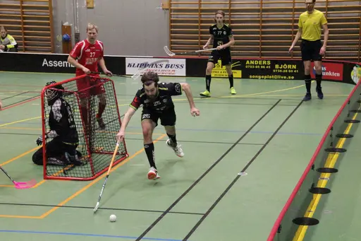 Foto: Kenneth Fridström