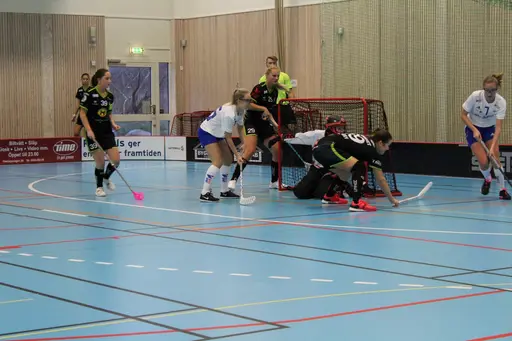 Foto: Ann Farken Ericsson