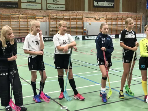 Foto: Bonny Lindberg