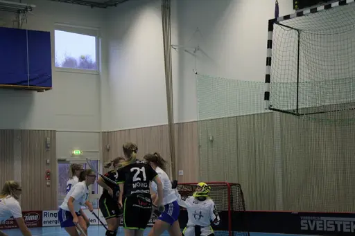 Foto: Ann Farken Ericsson