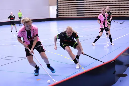 Foto: Kenneth Fridström.