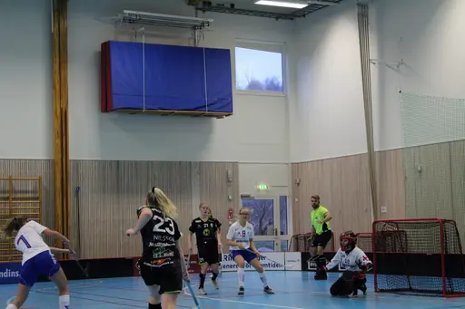 Foto: Ann Farken Ericsson