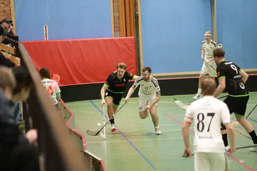 Foto: Kenneth Fridström.