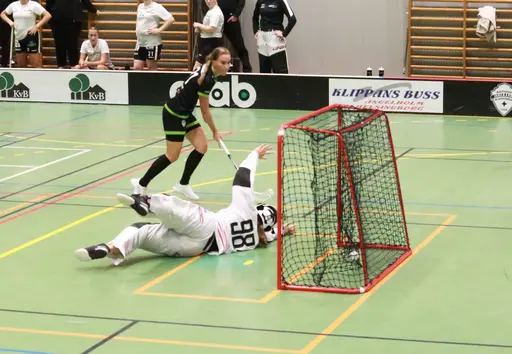 Foto: Kenneth Fridström.