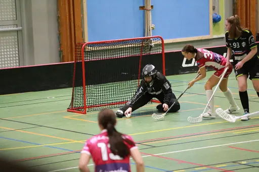 Foto: Kenneth Fridström.