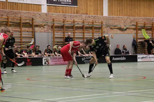 Foto: Kenneth Fridström
