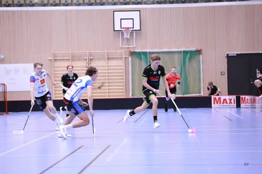 Foto: Kenneth Fridström.