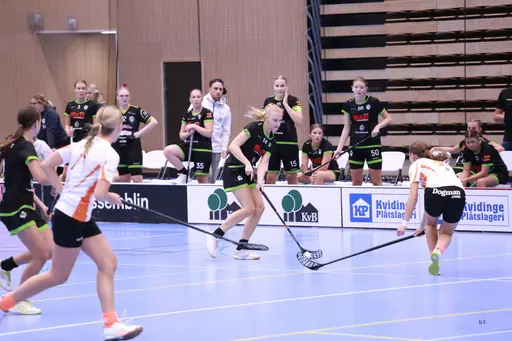 Foto: Kenneth Fridström.