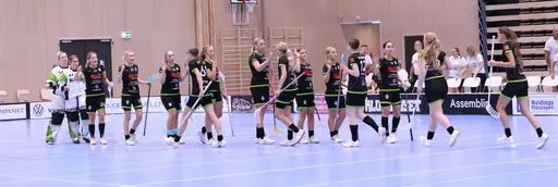 Foto Kenneth Fridström.