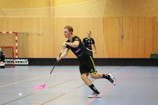 Foto: Kenneth Fridström